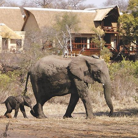 エレファント プレーンズ ゲーム ロッジ サビ・サンド動物保護区 エクステリア 写真
